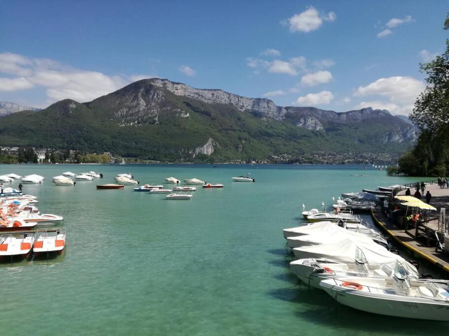 Cabana & Le Central - Proche Lac , Terrasse Et Parking Annecy Exterior foto